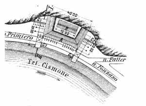 san antonio pianta.gif (65093 byte)