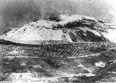 carriola.jpg (71958 byte)
