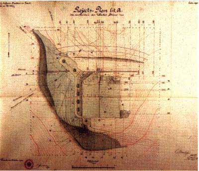 strino pianta.jpg (126484 byte)