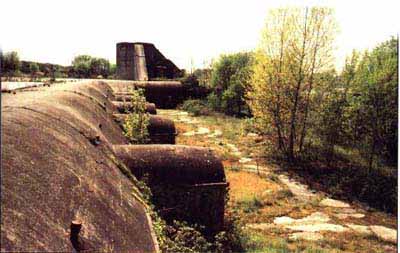 vettor pisani vista destra.jpg (93842 byte)