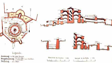 sofia pianta.jpg (165033 byte)