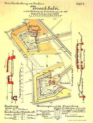 salvi intero.jpg (229188 byte)